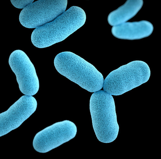 Depression, Leaky gut and the Microbiome
