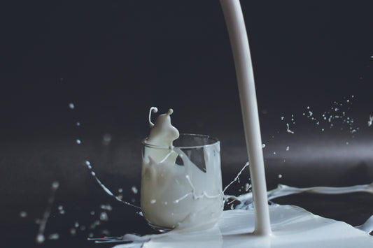 Lactose intolerance - What is it? Plus effective management strategies